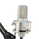 MICROFONO DE CONDENSADOR FET ALCTRON, DE ALTO RENDIMIENTO, CAPSULA DE 34MM, 20 Hz-20 kHz, CARCASA DE ZINC