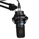 MICROFONO DE CONDENSADOR FET ALCTRON, DE GRAN DIAFRAMA 34MM, CON SOPORTE DE ORO, 20 Hz-20 kHz